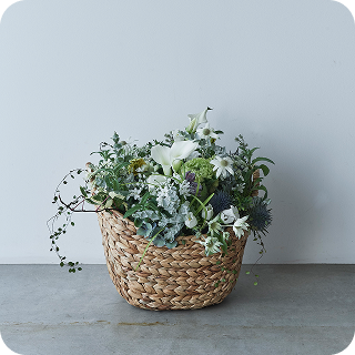 ARRANGEMENT