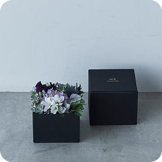 BOX FLOWER