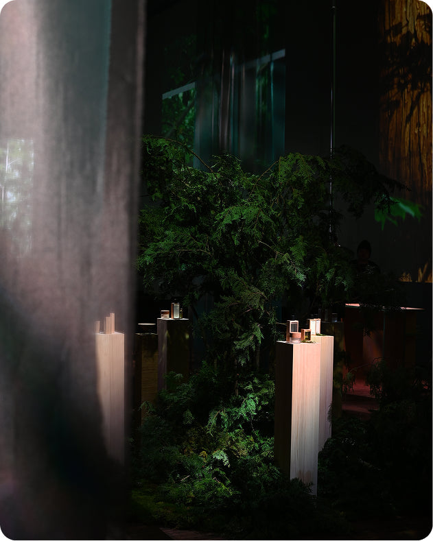 EVENT DECORATION